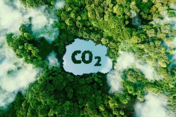 Émissions de CO2 Production de matières plastiques Concentration de Co2 dans les matières plastiques